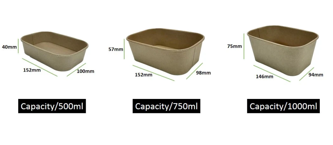 Custom Disposable Biodegradable Kraft Paper Food Packaging Box with Lid