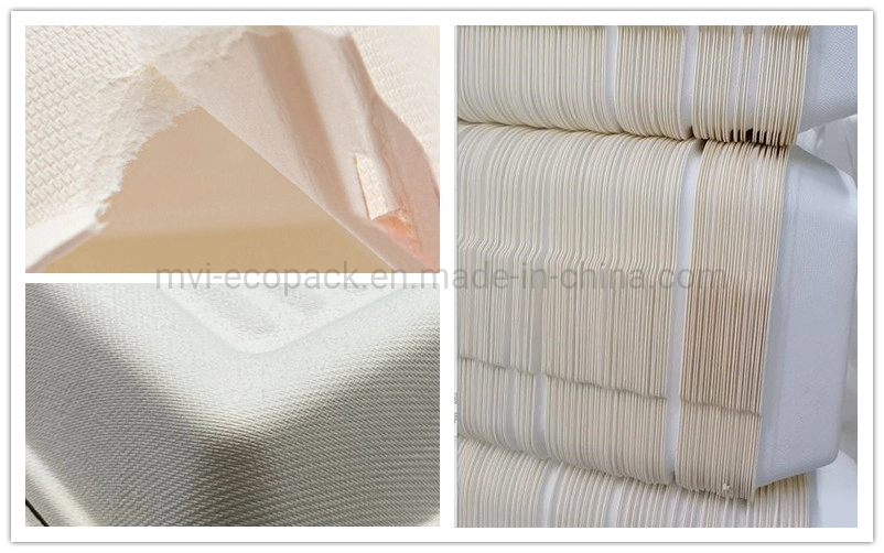 Disposable Rectangle/Square/Oval/Round Plates Sugarcane Pulp Bagasse Biodegradable Plate