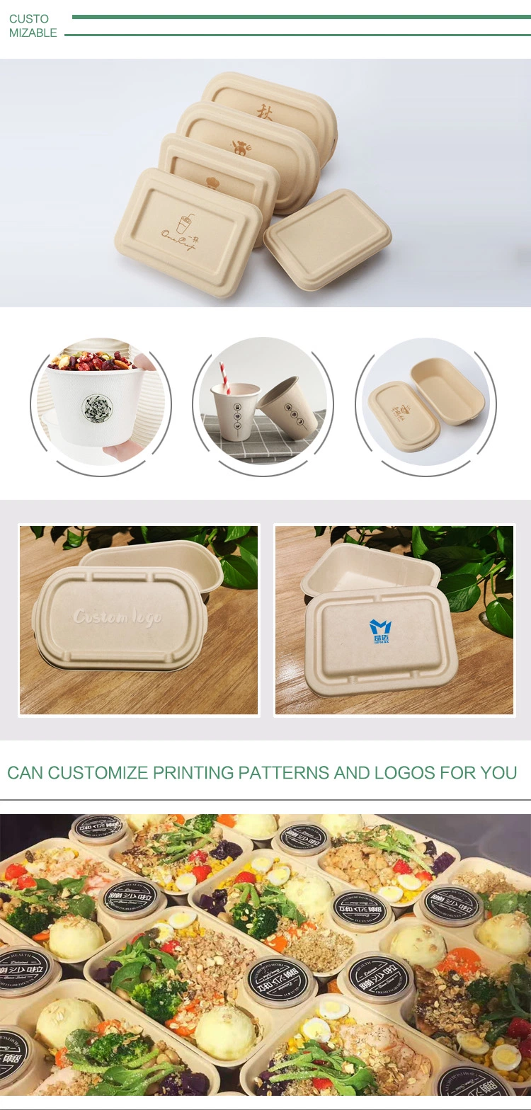 Takeaway Clamshell Biodegradable Compostable Sugarcane Bagasse Hamburger Box Pfas Free for Lunch